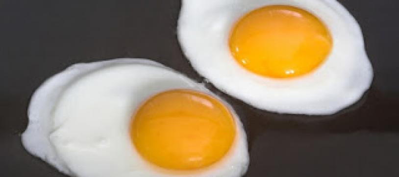 Why Cholesterol Is Your Friend